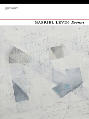 cover image of Errant